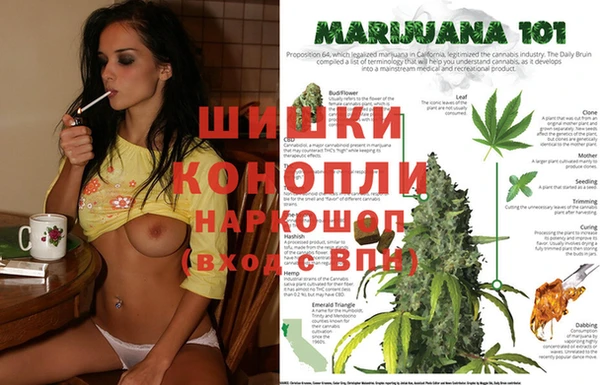 индика Кодинск
