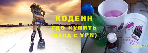индика Кодинск
