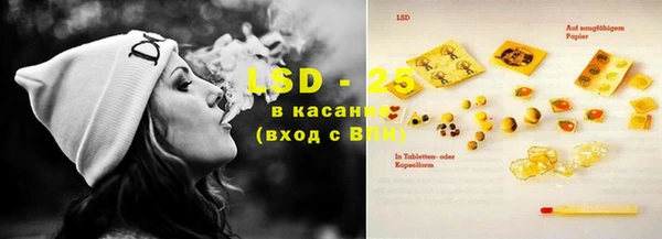 индика Кодинск