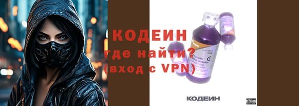 индика Кодинск