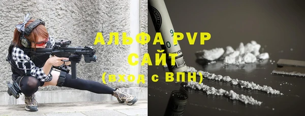 индика Кодинск
